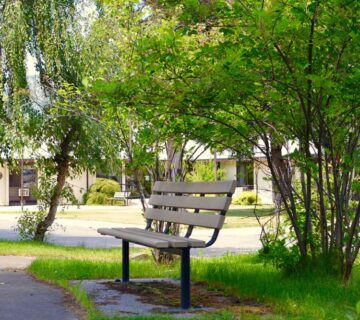 محصولات برتر مبلمان شهری