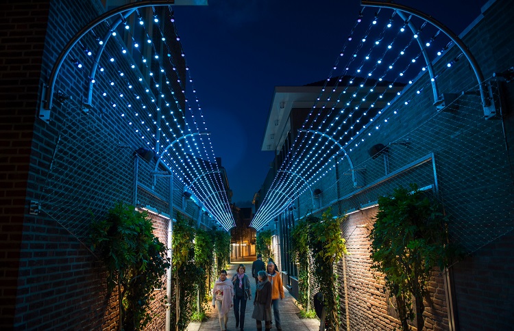 نورپردازی از بالا