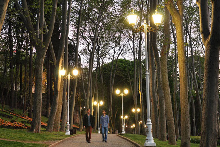چراغ‌های پارکی برای نورپردازی درختان بلند