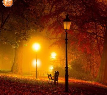 استانداردهای نورپردازی پارکی (Park lighting standards)