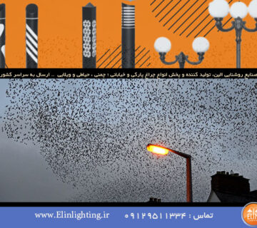 مهاجرت حیات وحش به دلیل نورپردازی نامناسب محیطی