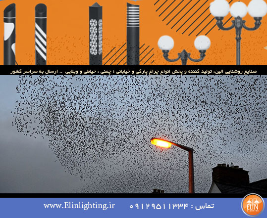 مهاجرت حیات وحش به دلیل نورپردازی نامناسب محیطی